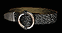 Razortail inventory art
